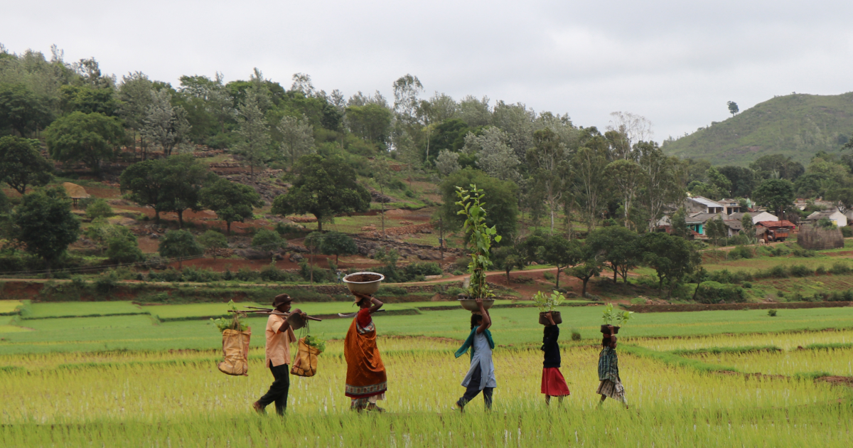 Araku Valley farmers supported by project Hariyali